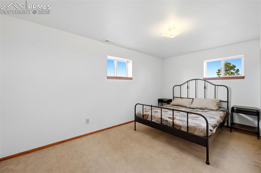 Bedroom with carpet and multiple windows