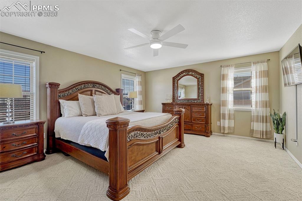 In the main level primary bedroom, the plush carpet, modern ceiling fan and neutral palette help establish a versatile santuary. Ready for you to make it your own