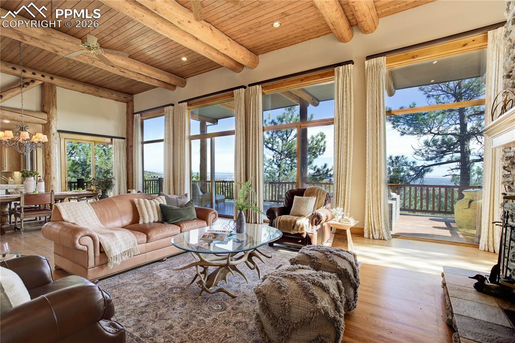 Large windows for abundant lighting