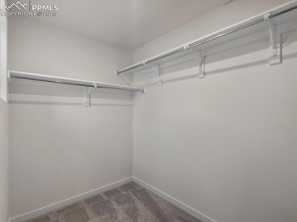 Spacious closet featuring dark colored carpet