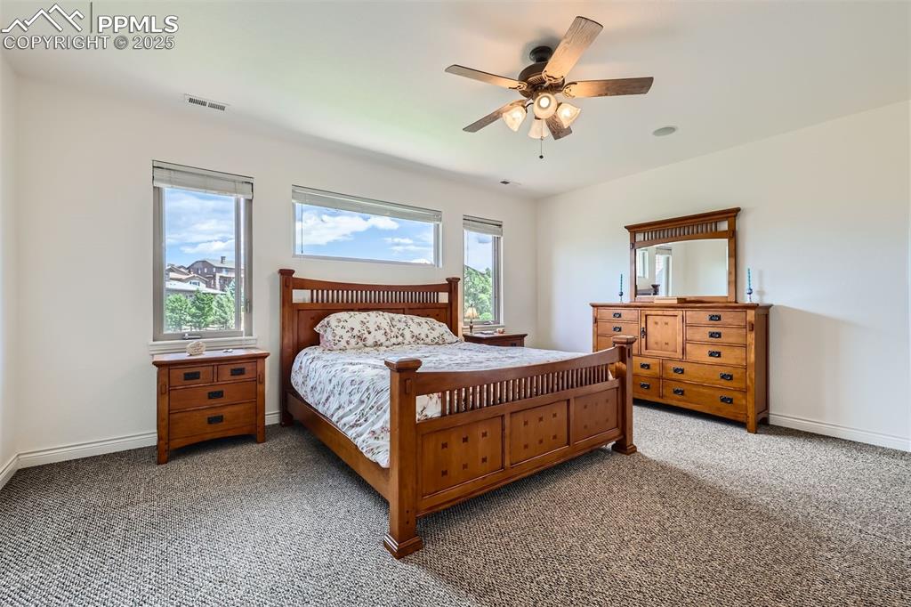 Master bedroom featuring multiple windows, light carpet, and ceiling fan