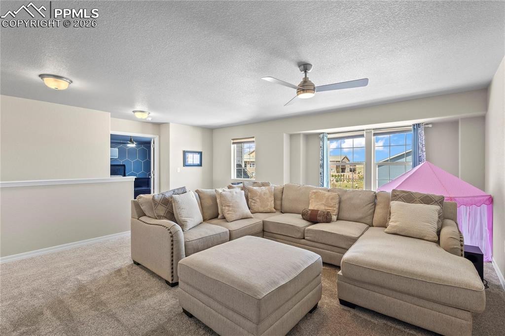 Carpeted living area with a ceiling fan, healthy amount of natural light, and a textured ceiling