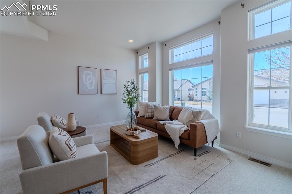 14335 Eagle Villa Grove photo 3