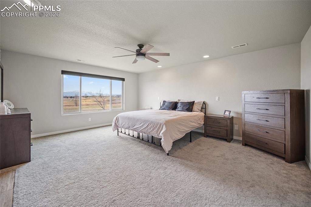 Bedroom with visible vents, baseboards, a ceiling fan, and carpet flooring