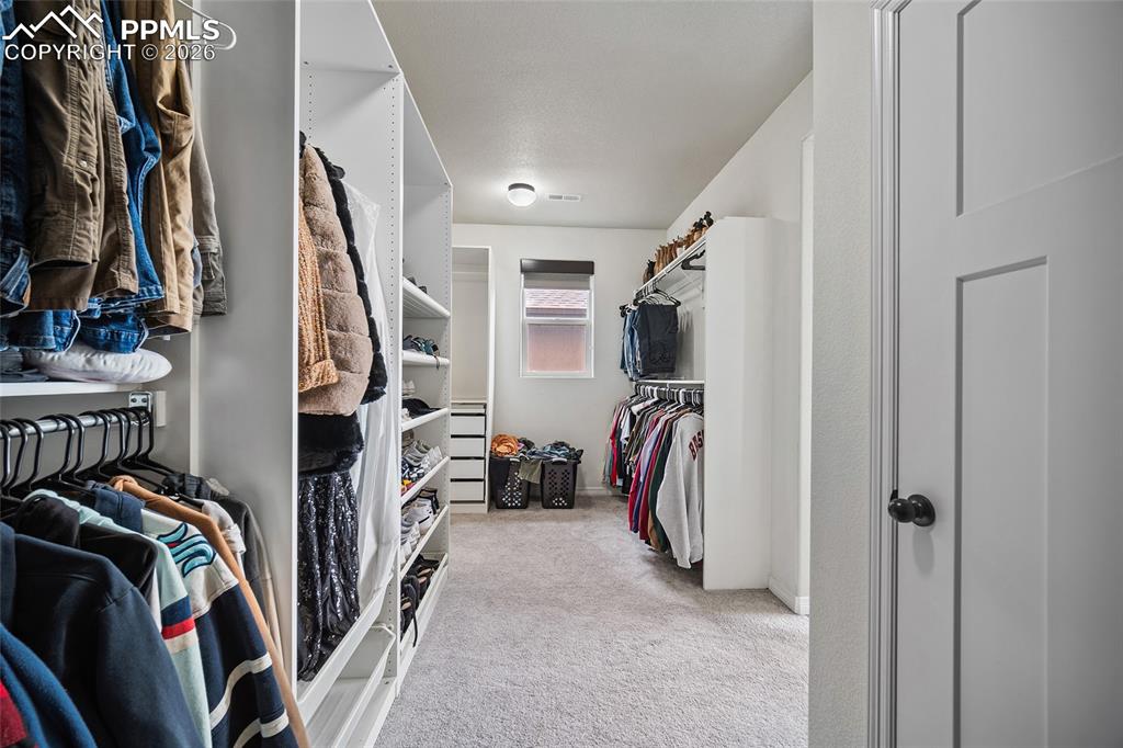 Walk in closet featuring carpet flooring