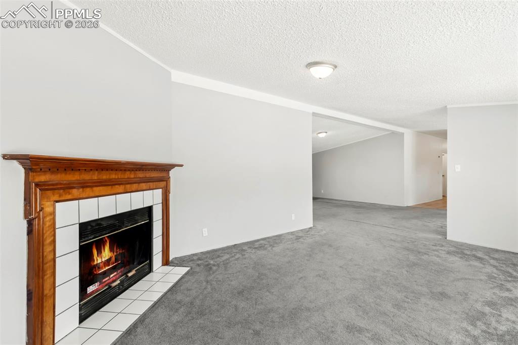 1621 Carltonia Street