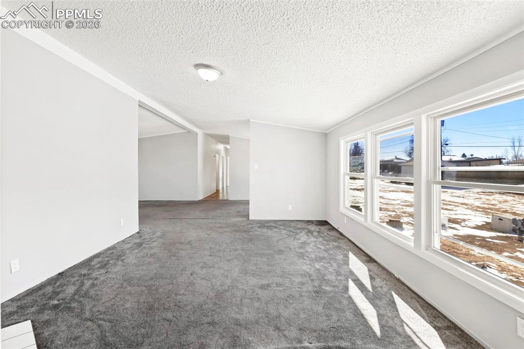 1621 Carltonia Street