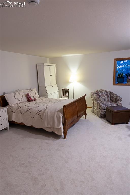 Spacious basement bedroom with walk in closet.
