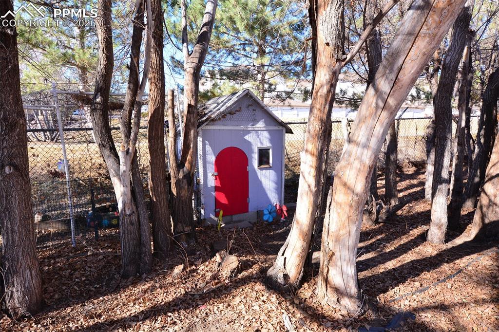 Chicken coop in back yard