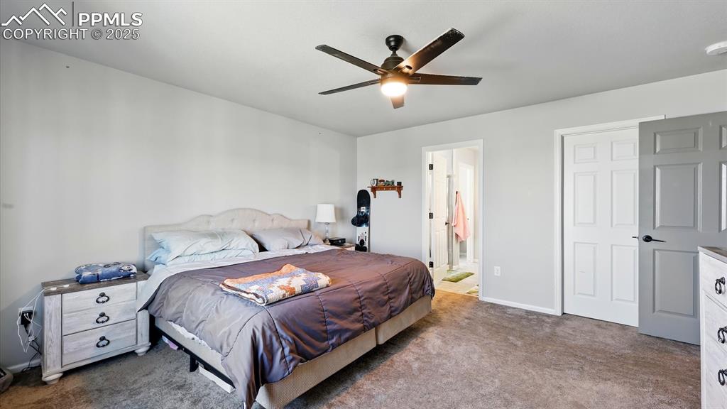 Primary Bedroom with adjoining Shower Bathroom.