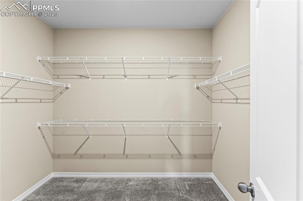Spacious closet with carpet floors
