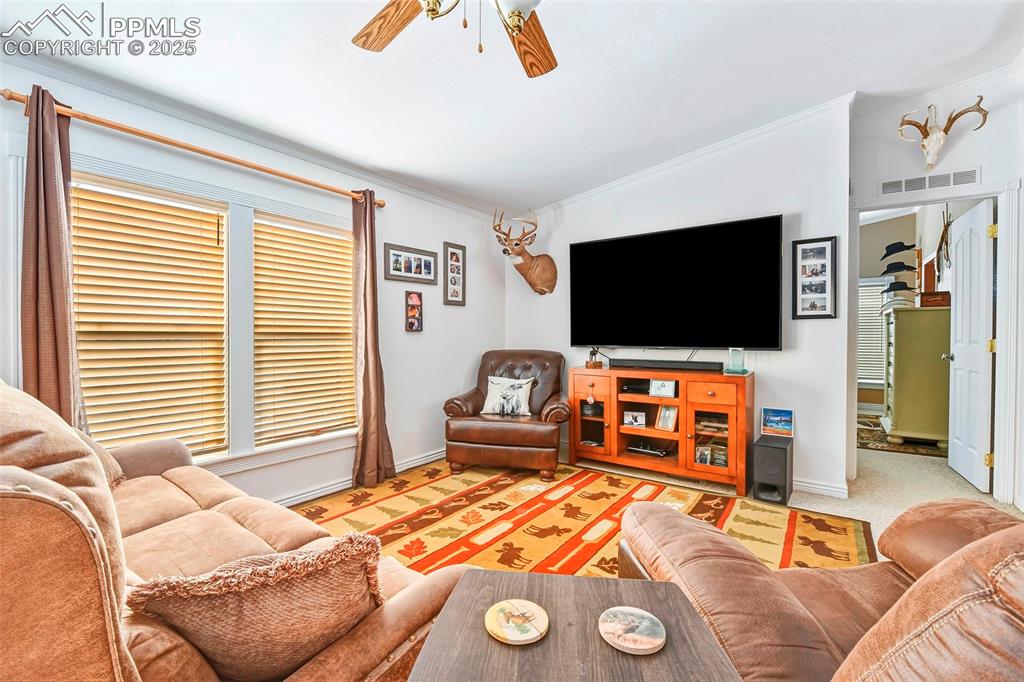 Open Living Concept. Living Room with Large Windows, Views and Vaulted Ceiling