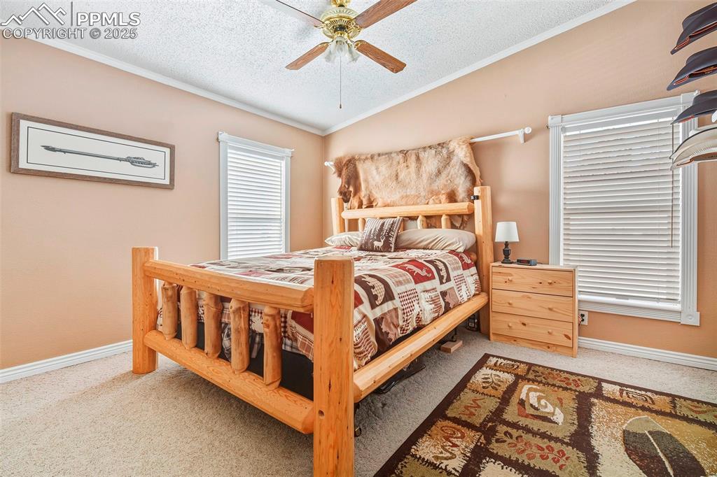 Master Suite with Vaulted Ceilings, Large Windows, Double Closet and En-Suite Bathroom