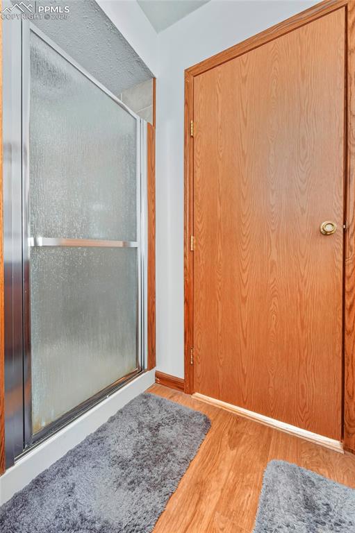 Master Suite Bathroom Off Kitchen with Shower