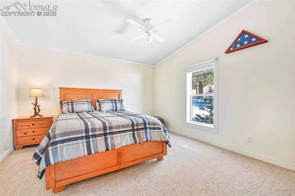 2nd Master Suite off Living Room with Adjoining Large  Bathroom with Soaking Tub Shower Combo