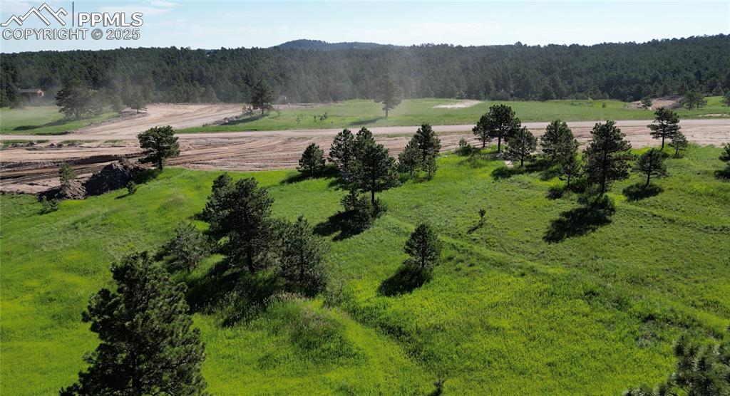 17629 Emerson Cliff Court photo 3