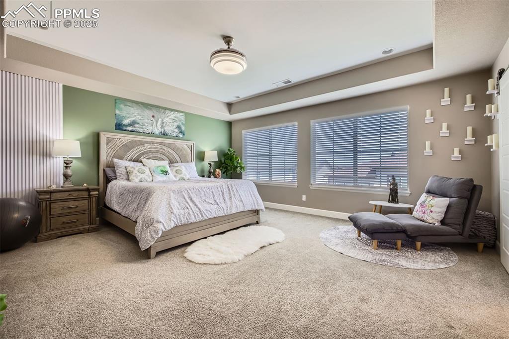Spacious primary bedroom-- and you won't believe adjacent spa bathroom