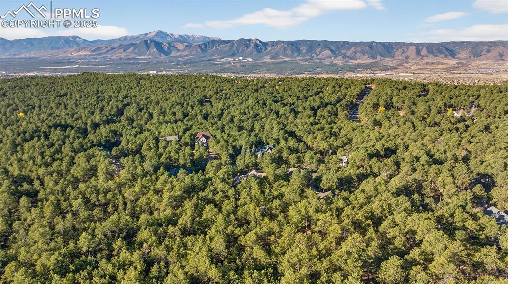 15765 Pineycove Court photo 2