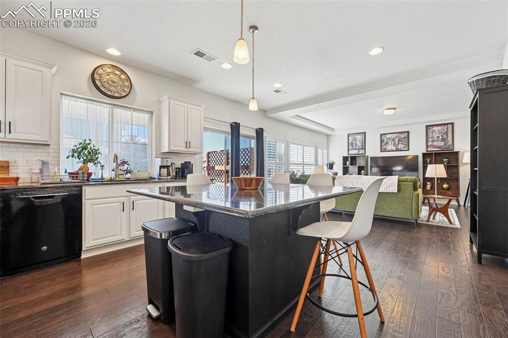 9085 Pacific Crest Drive photo 3