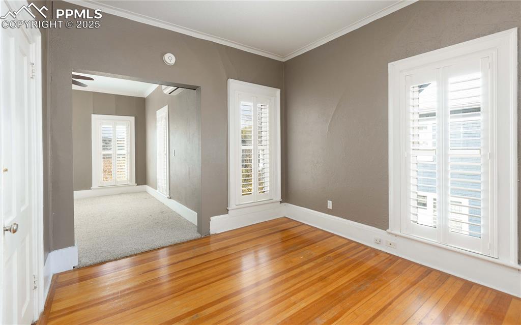 Unfurnished room featuring plenty of natural light, crown molding, hardwood / wood-style floors, and carpet floors