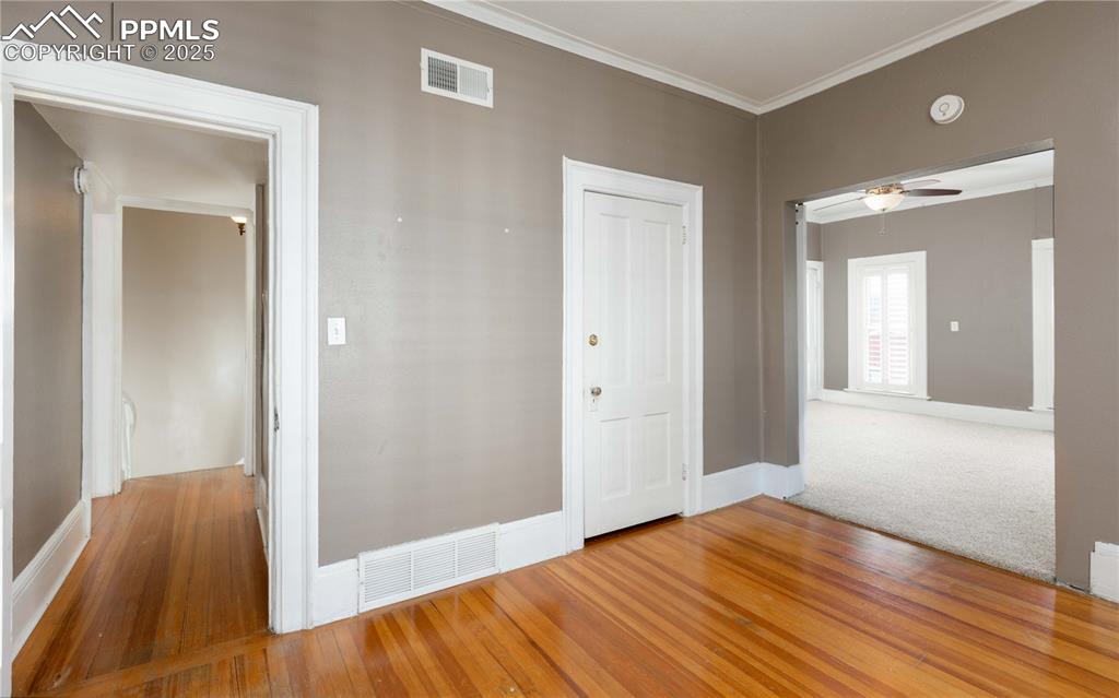 Empty room with light wood-type flooring, ornamental molding, and ceiling fan