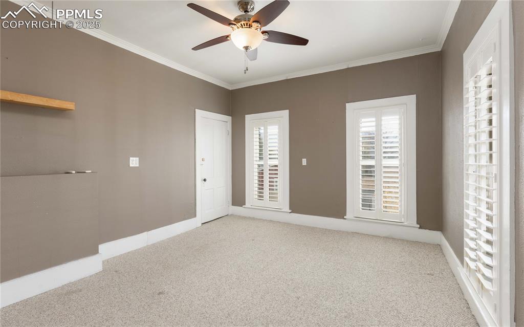 Spare room featuring crown molding, carpet, and a ceiling fan