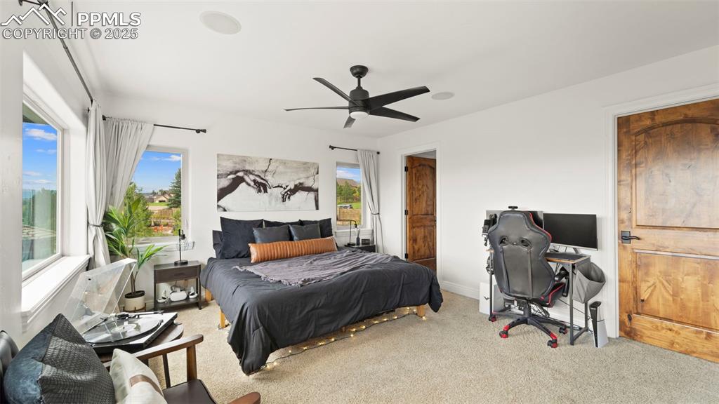 Carpeted bedroom with ceiling fan