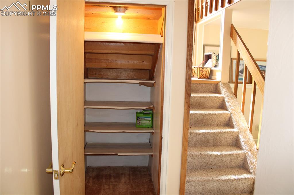 Storage under the stairs