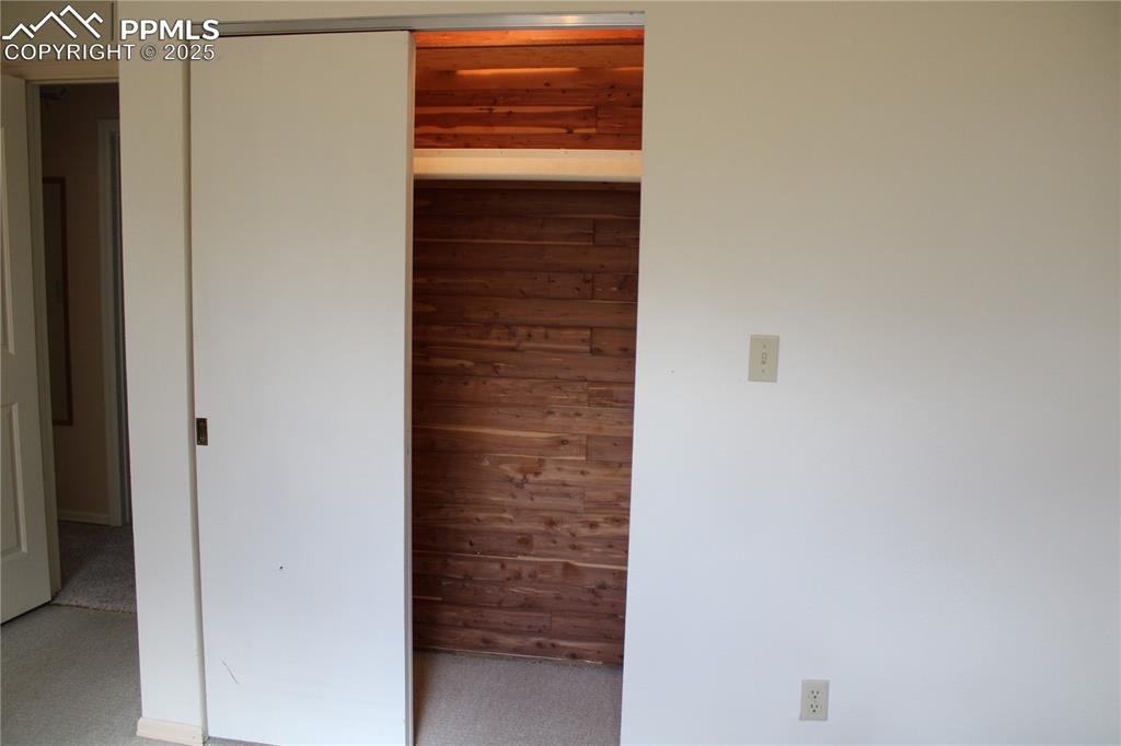View of cedar-lined closet