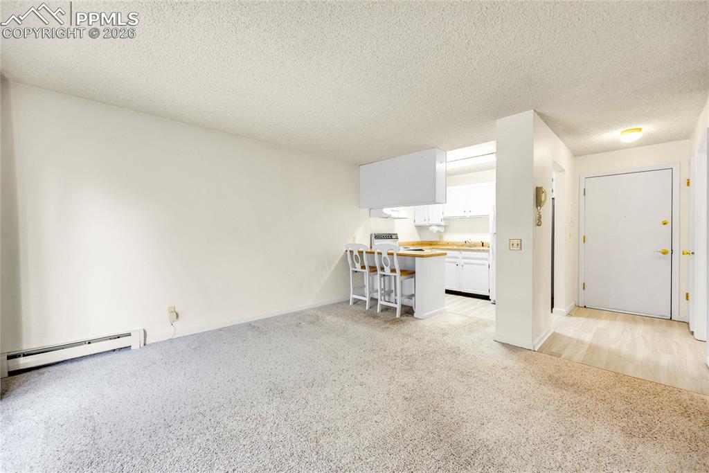 Unfurnished living room featuring a textured ceiling, light colored carpet, and a baseboard heating unit