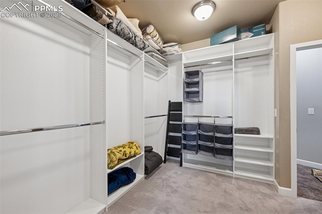 Spacious closet with carpet