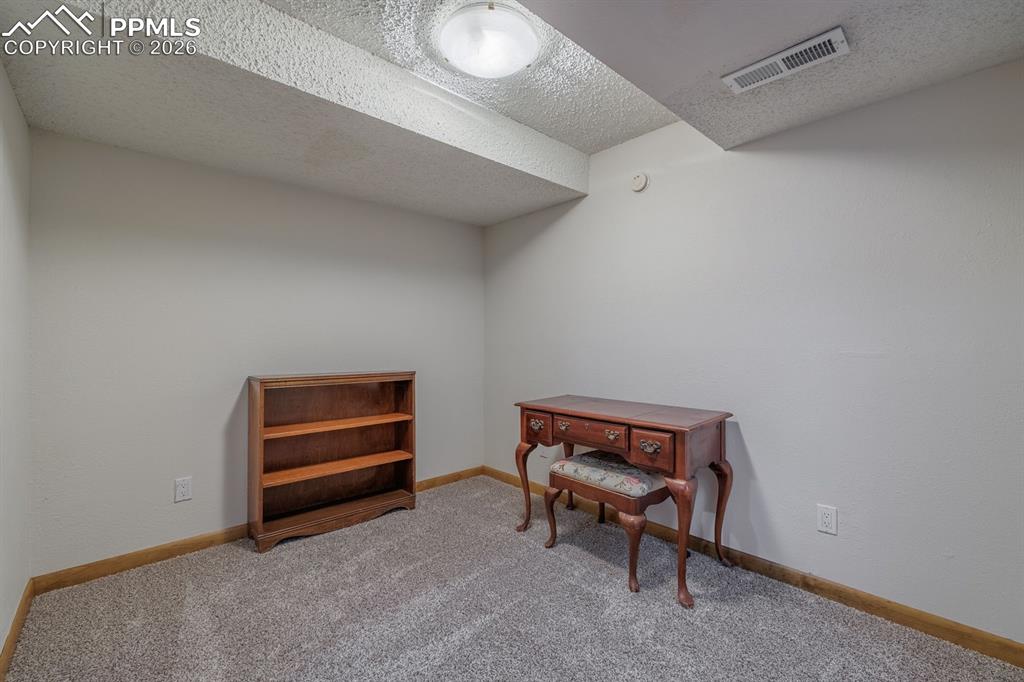 Basement bedroom or office