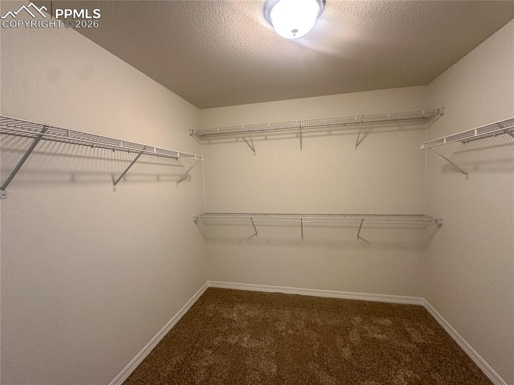 Photos of previous model. Some options may vary.