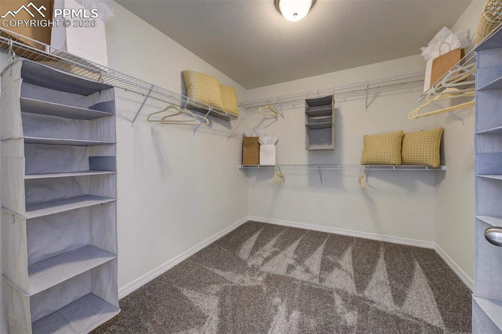 Photos of previously built model. Some options will vary