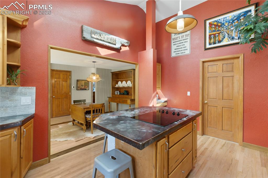 Kitchen is updated! Stainless steel appliances, concrete counters, vaulted ceilings, recessed lighting, skylights, hard wood floors, open and spacious, a dream come true.