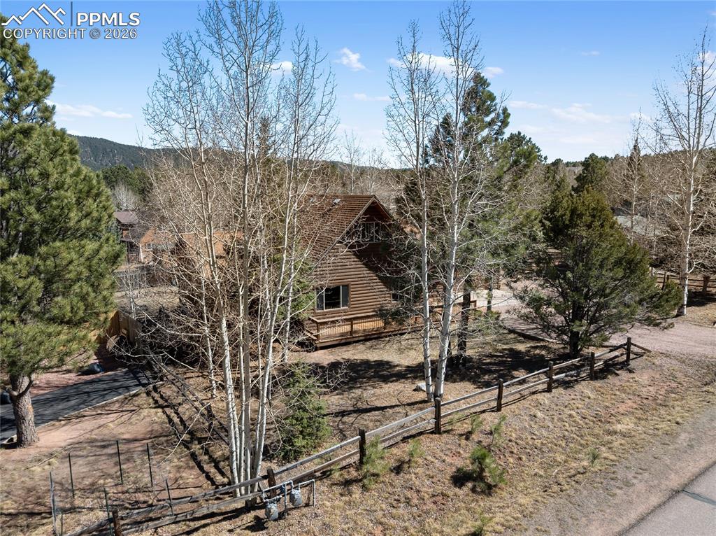 Flat lawn, mature aspen and pine trees
