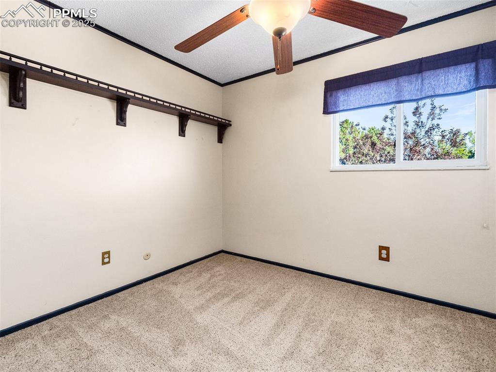 Spare room with carpet flooring, a textured ceiling, crown molding, and a ceiling fan