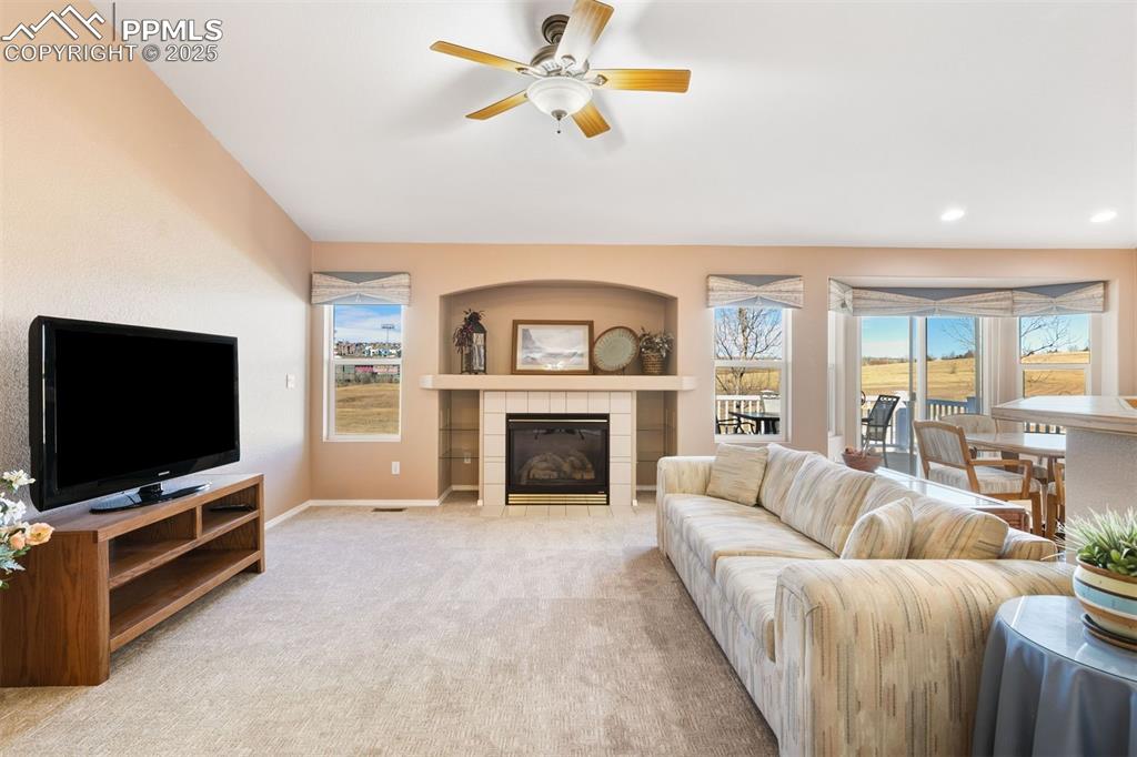Vaulted ceiling, inviting fireplace, windows to open space and newer designer carpet.