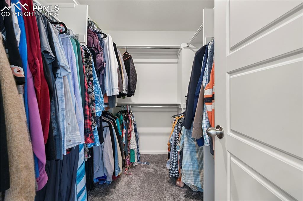 Spacious closet featuring dark colored carpet