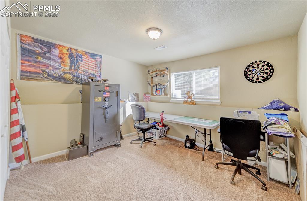 Office space featuring a textured ceiling and carpet flooring