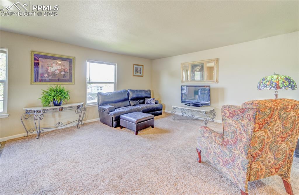 View of carpeted living room