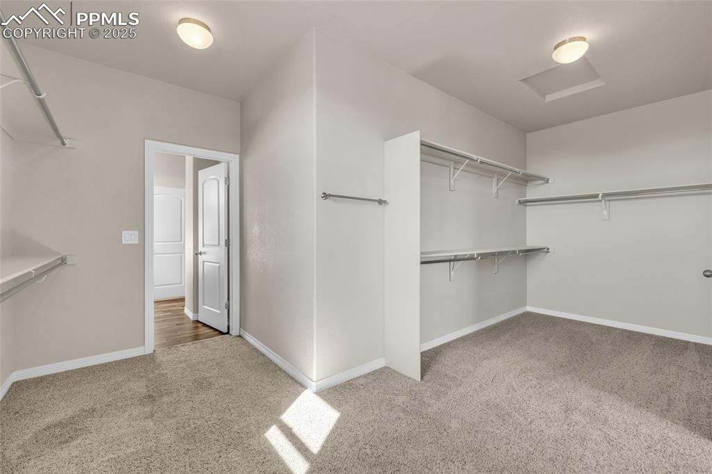 Spacious closet with light colored carpet and attic access