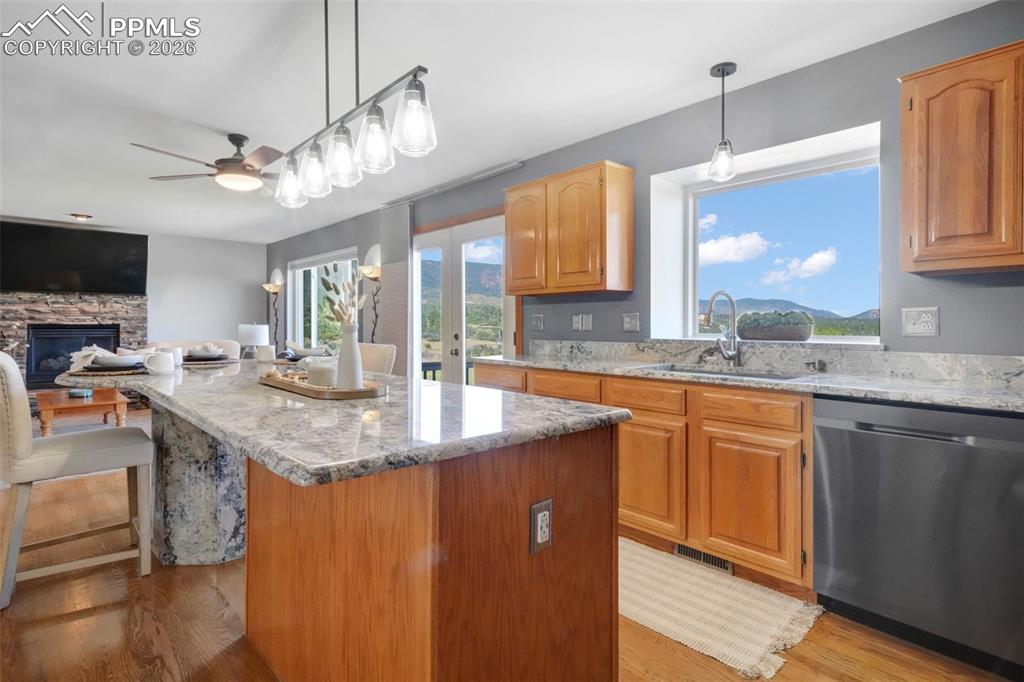 View of the Backyard