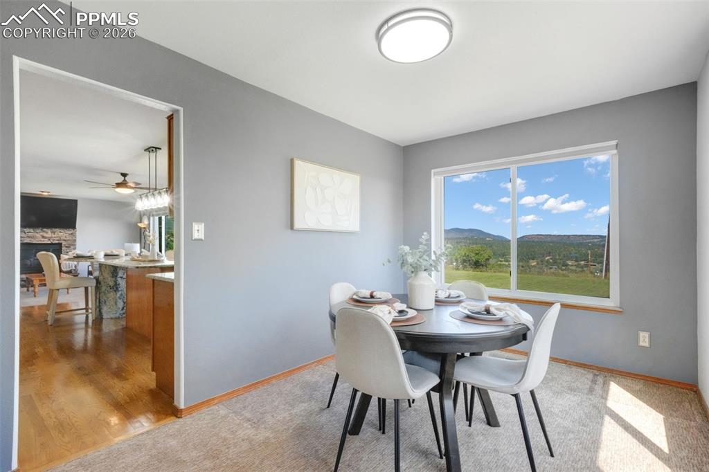 View of the Backyard