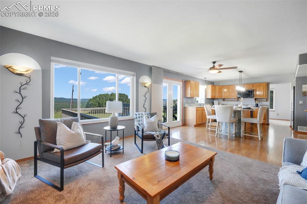 View of the Backyard