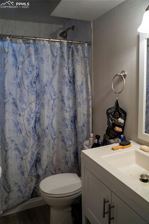 Lower level bathroom