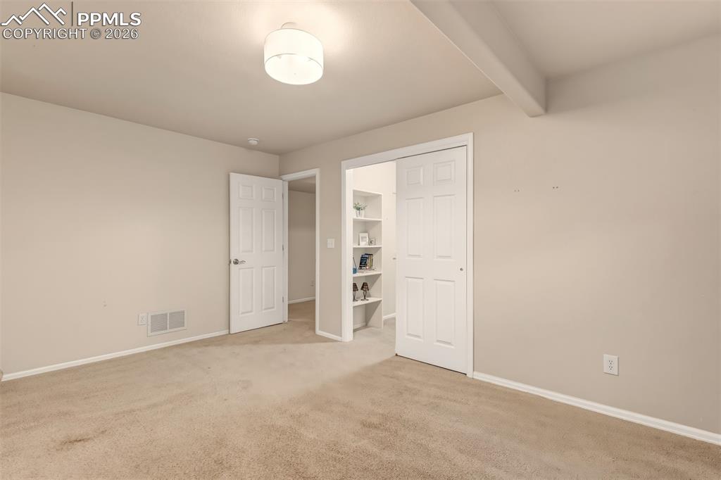 Basement bedroom #2 with spacious walk-in closet.