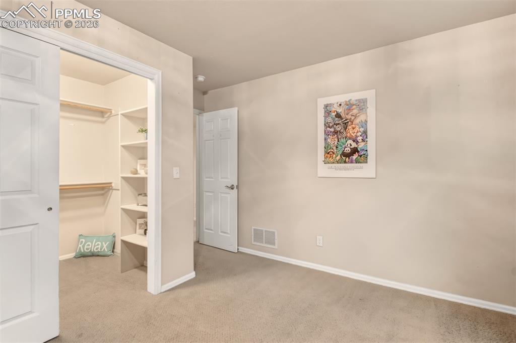 Basement bedroom #3 with spacious walk-in closet.
