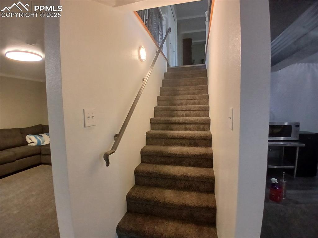 Stairs featuring carpet flooring