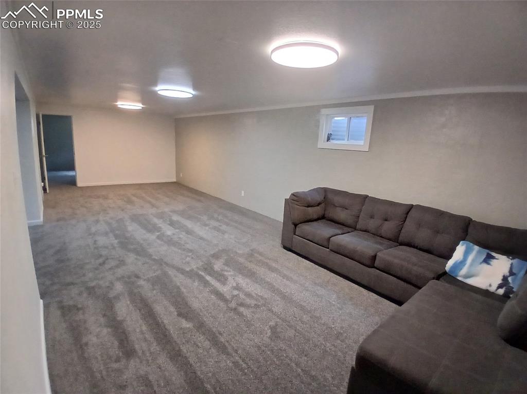 Basement Family Room